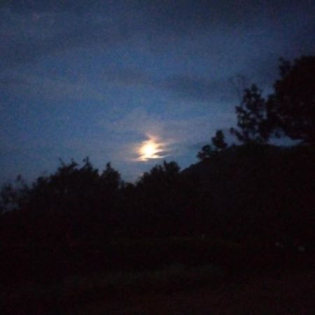 Abiyal Mountain Stay Madikeri Esterno foto