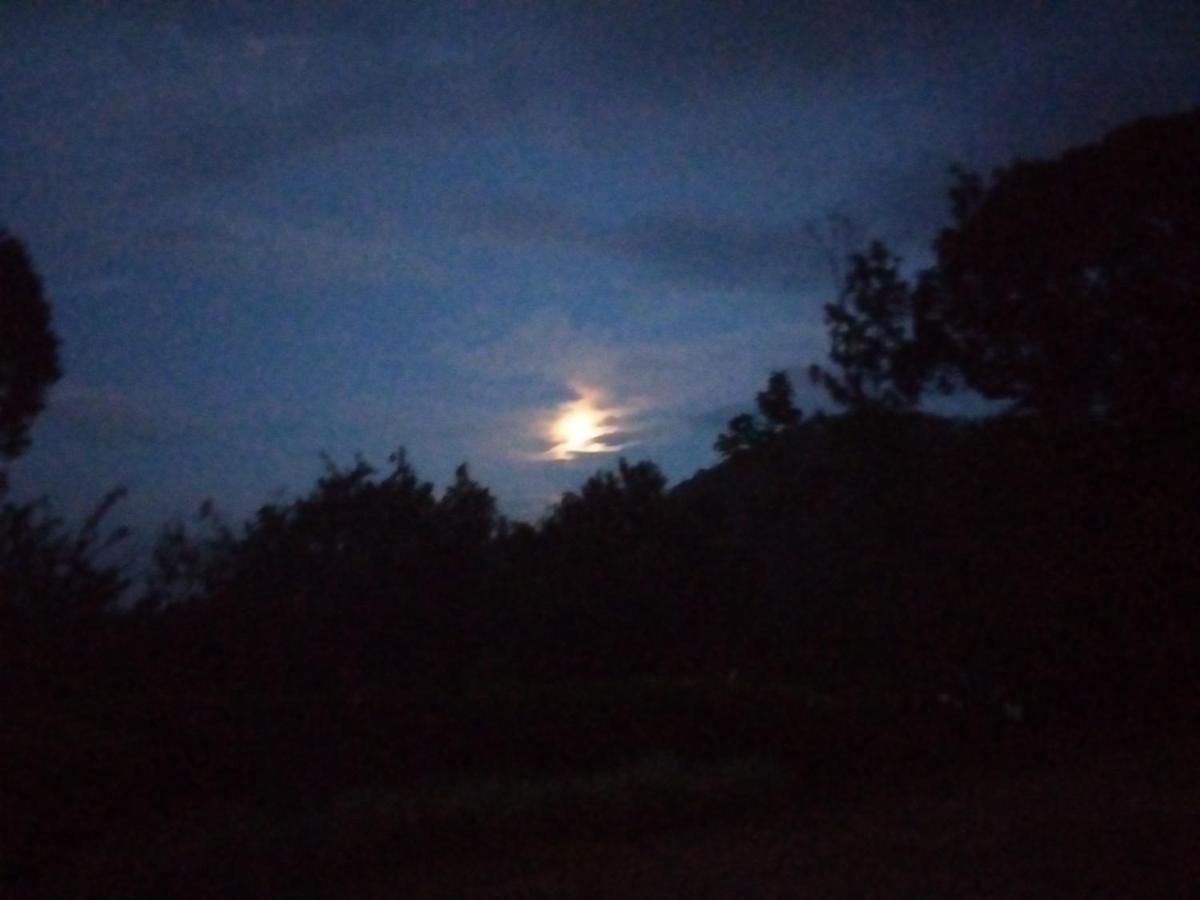 Abiyal Mountain Stay Madikeri Esterno foto