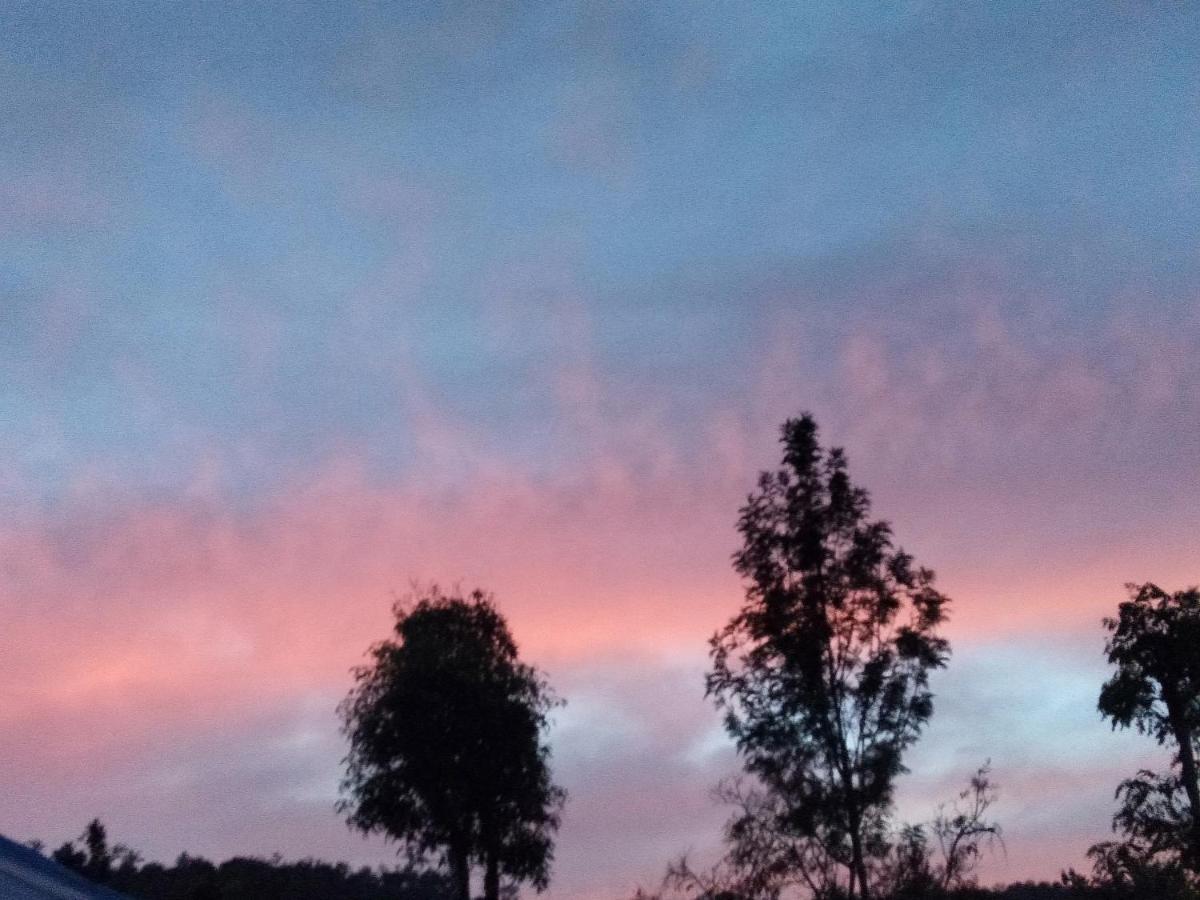 Abiyal Mountain Stay Madikeri Esterno foto